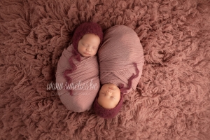 SWIETIES_NEWBORN_FOTOGRAAF_ANTWERPEN_TEMSE_LOKEREN_GENT_LEUVEN_KONTICH_DUFFEL_LIER_LINT_MECHELEN_HOVE_WILRIJK_VILVOORDE_VILVOORDE_ST-NIKLAAS_EDEGEM_FINE_ART_FAMILIEPORTRET