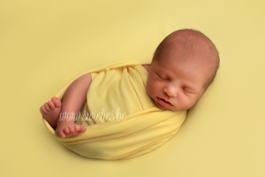 SWIETIES_NEWBORN_FOTOGRAAF_BRASSCHAAT_LOKEREN_GENT_LEUVEN_KONTICH_DUFFEL_LIER_LINT_MECHELEN_WILRIJK_ANTWERPEN_ST-NIKLAAS_EDEGEM_FINE_ART_FAMILIEPORTRET