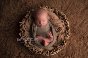 SWIETIES_NEWBORN_FOTOGRAAF_KAPELLEN_NIEL_LOKEREN_GENT_LEUVEN_KONTICH_DUFFEL_LIER_LINT_MECHELEN_WILRIJK_ANTWERPEN_ST-NIKLAAS_EDEGEM_FINE_ART_FAMILIEPORTRET