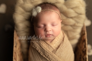 SWIETIES_NEWBORN_FOTOGRAAF_TEMSE_KAPELLEN_ANTWERPEN_LOKEREN_GENT_LEUVEN_KONTICH_DUFFEL_LIER_LINT_MECHELEN_WILRIJK_ST-NIKLAAS_FINE_ART_FAMILIEPORTRET