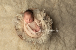 SWIETIES_NEWBORN_FOTOGRAAF_TEMSE_KAPELLEN_ANTWERPEN_LOKEREN_GENT_LEUVEN_KONTICH_LIER_LINT_MECHELEN_WILRIJK_ST-NIKLAAS_EDEGEM_FINE_ART_FAMILIEPORTRET